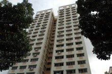 Blk 210 Petir Road (Bukit Panjang), HDB 5 Rooms #213052